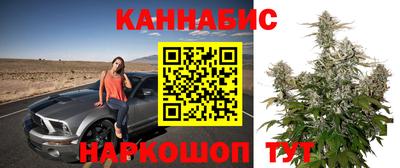 гашик Обь