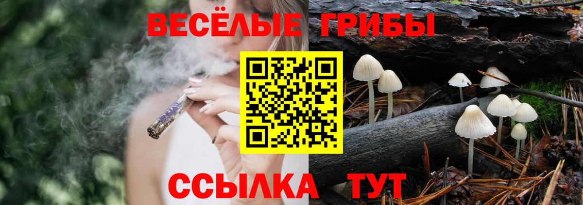 Галлюциногенные грибы Psilocybe  Вход с VPN  Самара 